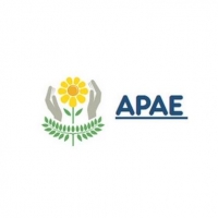 Associação de Pais e Alunos Especiais APAE - Curitiba - PR